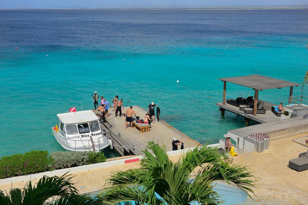 Belmar Oceanfront Apartments Bonaire Εξωτερικό φωτογραφία