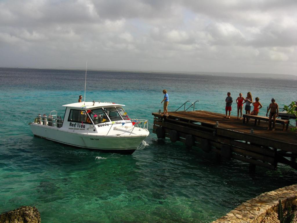 Belmar Oceanfront Apartments Bonaire Εξωτερικό φωτογραφία