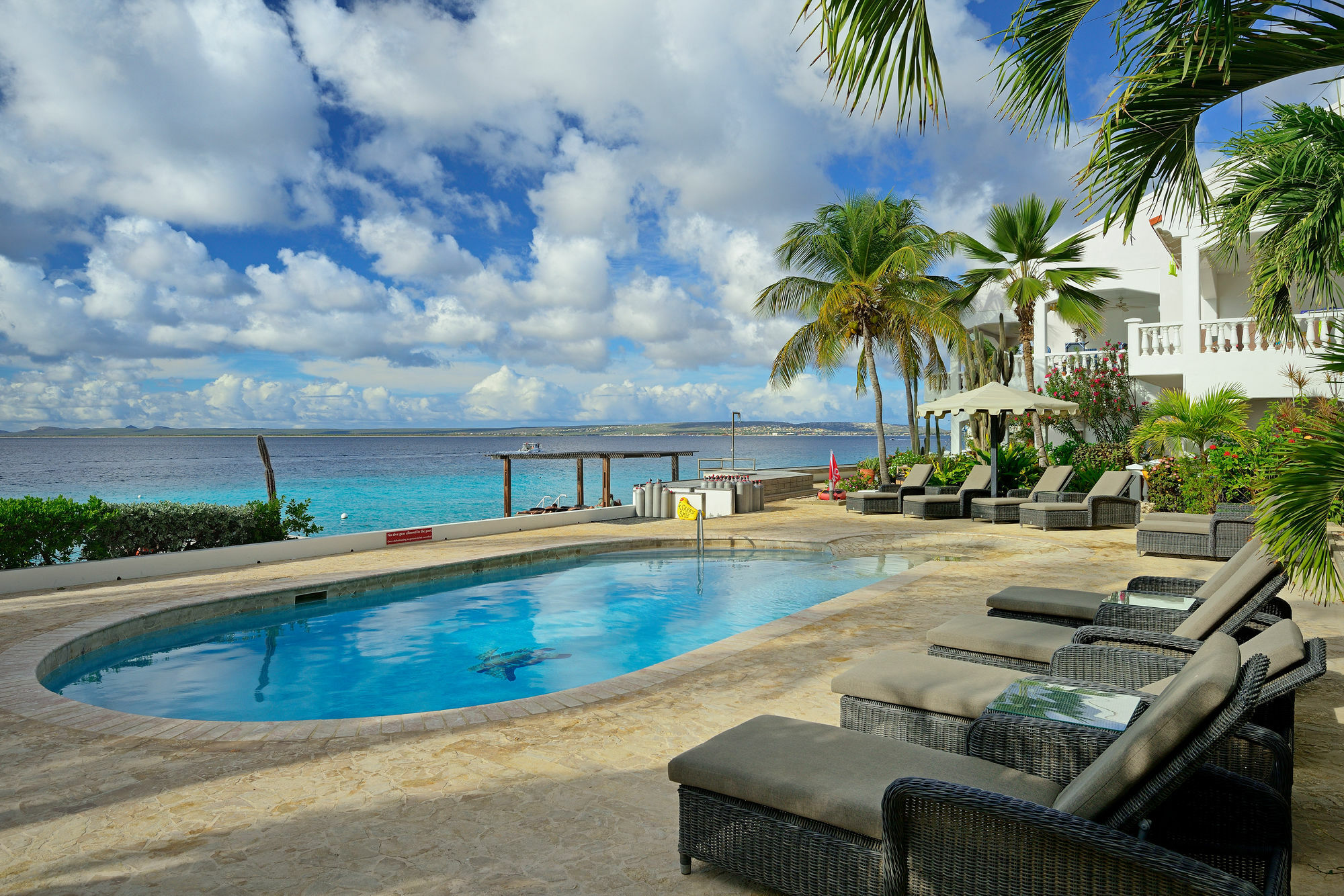 Belmar Oceanfront Apartments Bonaire Εξωτερικό φωτογραφία