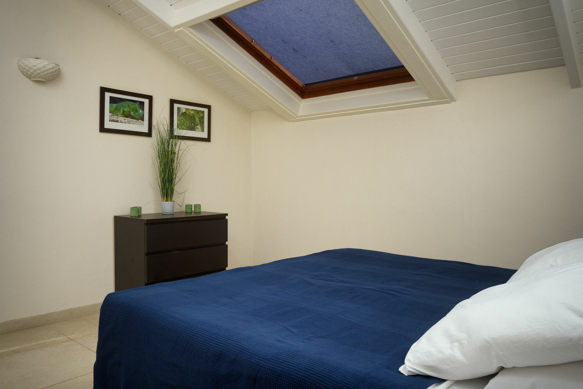 Belmar Oceanfront Apartments Bonaire Εξωτερικό φωτογραφία